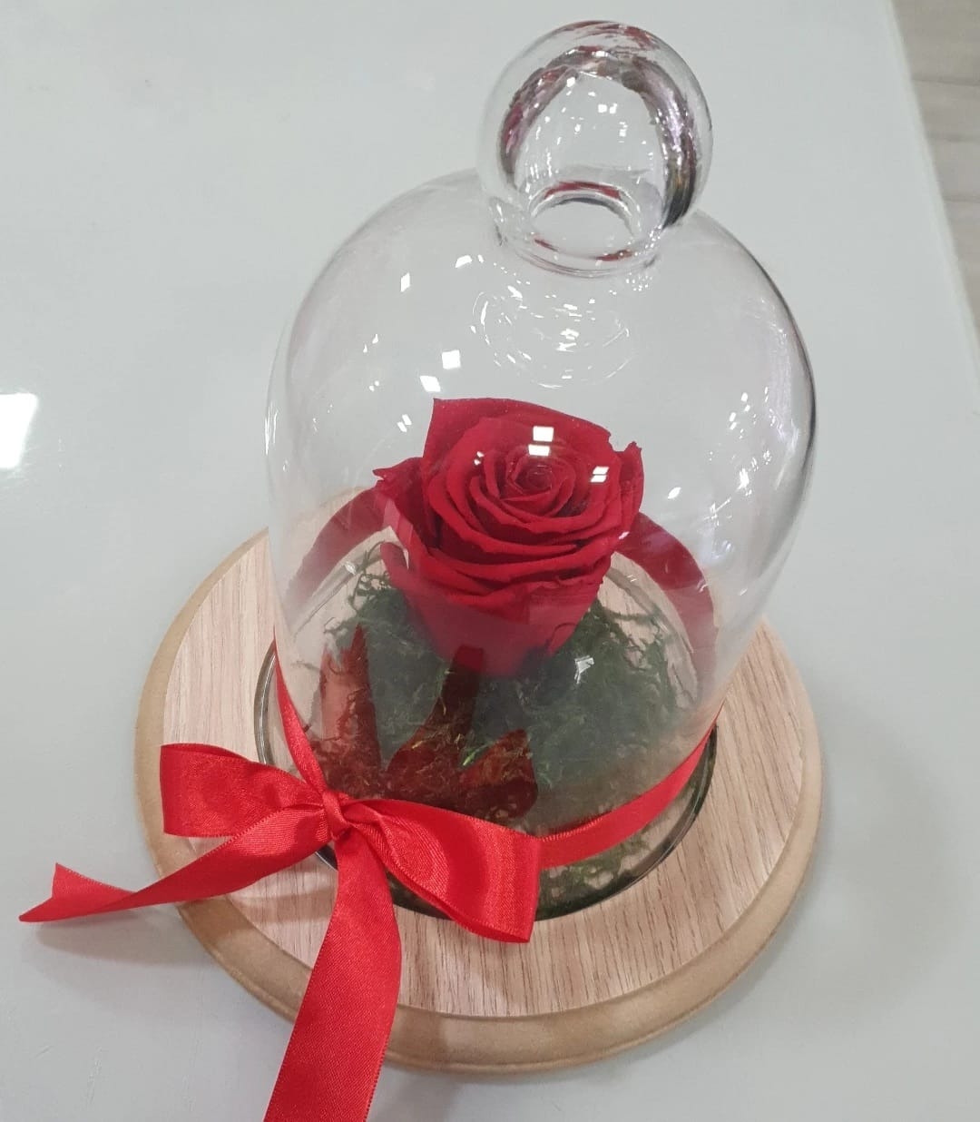 Rosa encantada Vermelha -  Cúpula de Vidro 