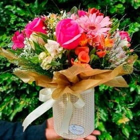 Box Mix de flores P - Colorido.