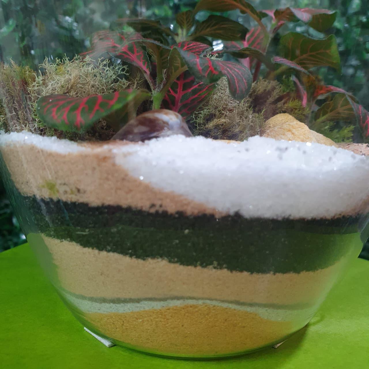 thumb-terrario-vaso-de-vidro-1