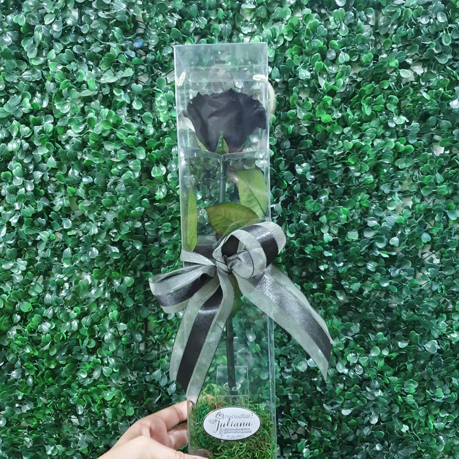 thumb-rosa-encantada-preta-0