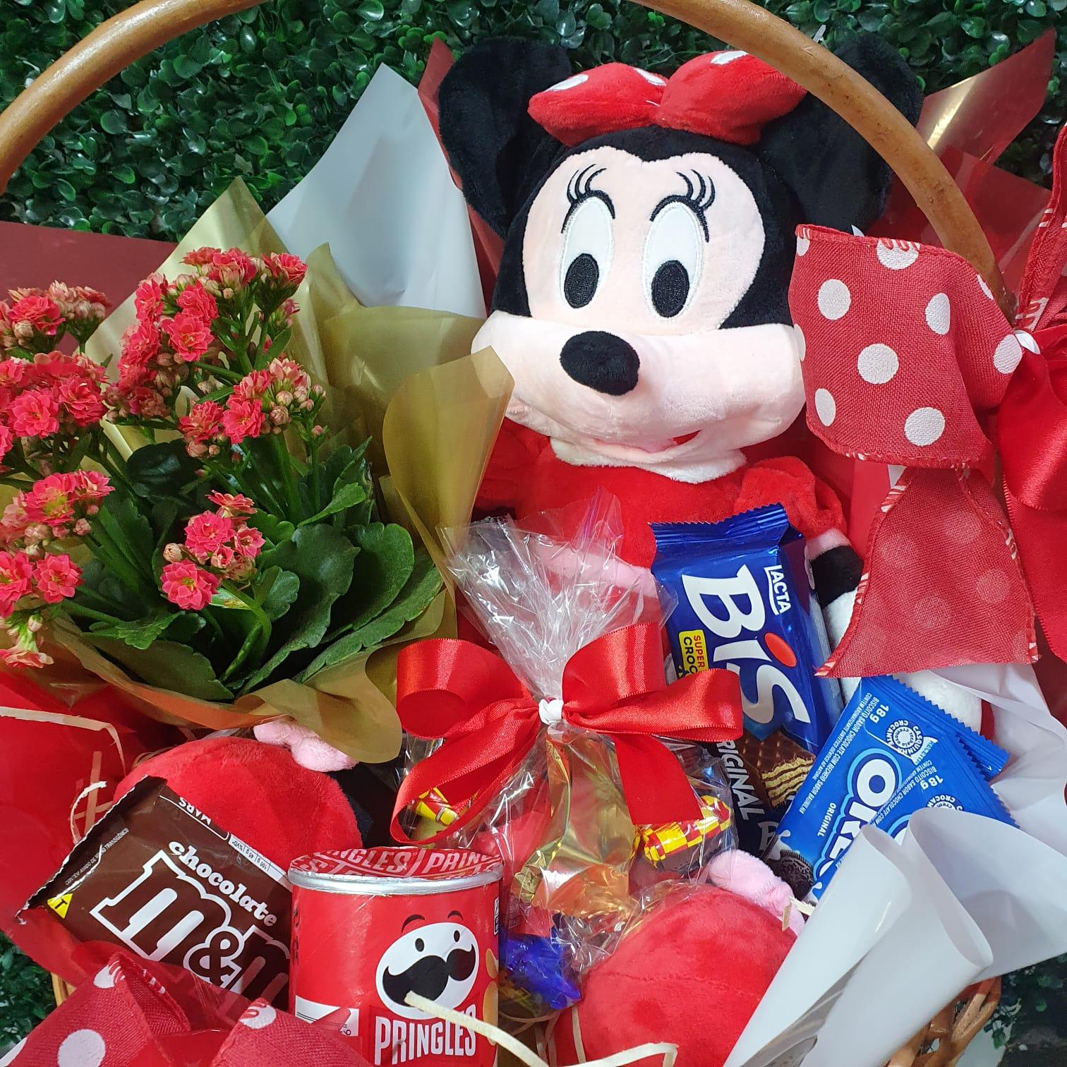 thumb-combo-minnie-0