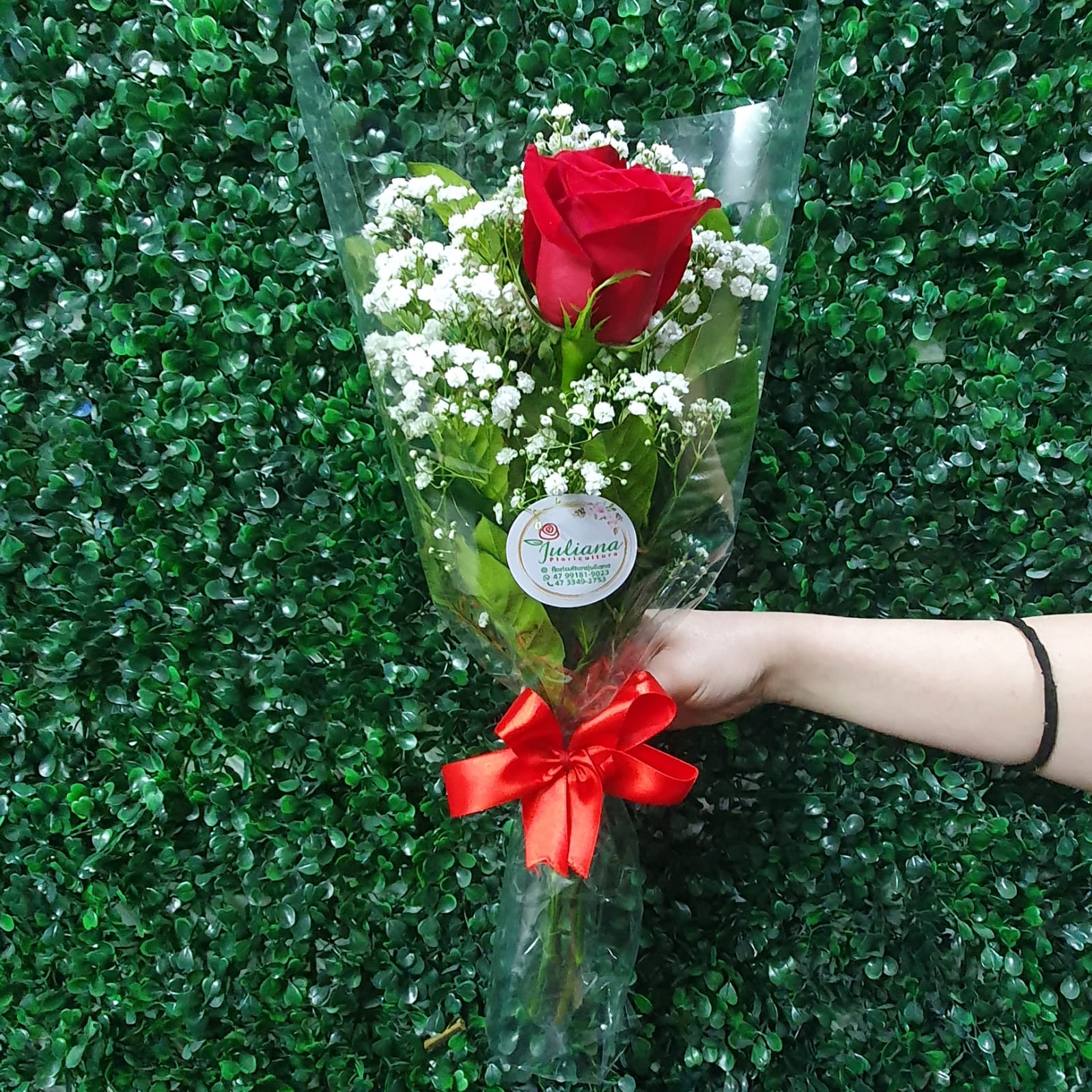 Ramalhete com 1 rosa vermelha - Transparente