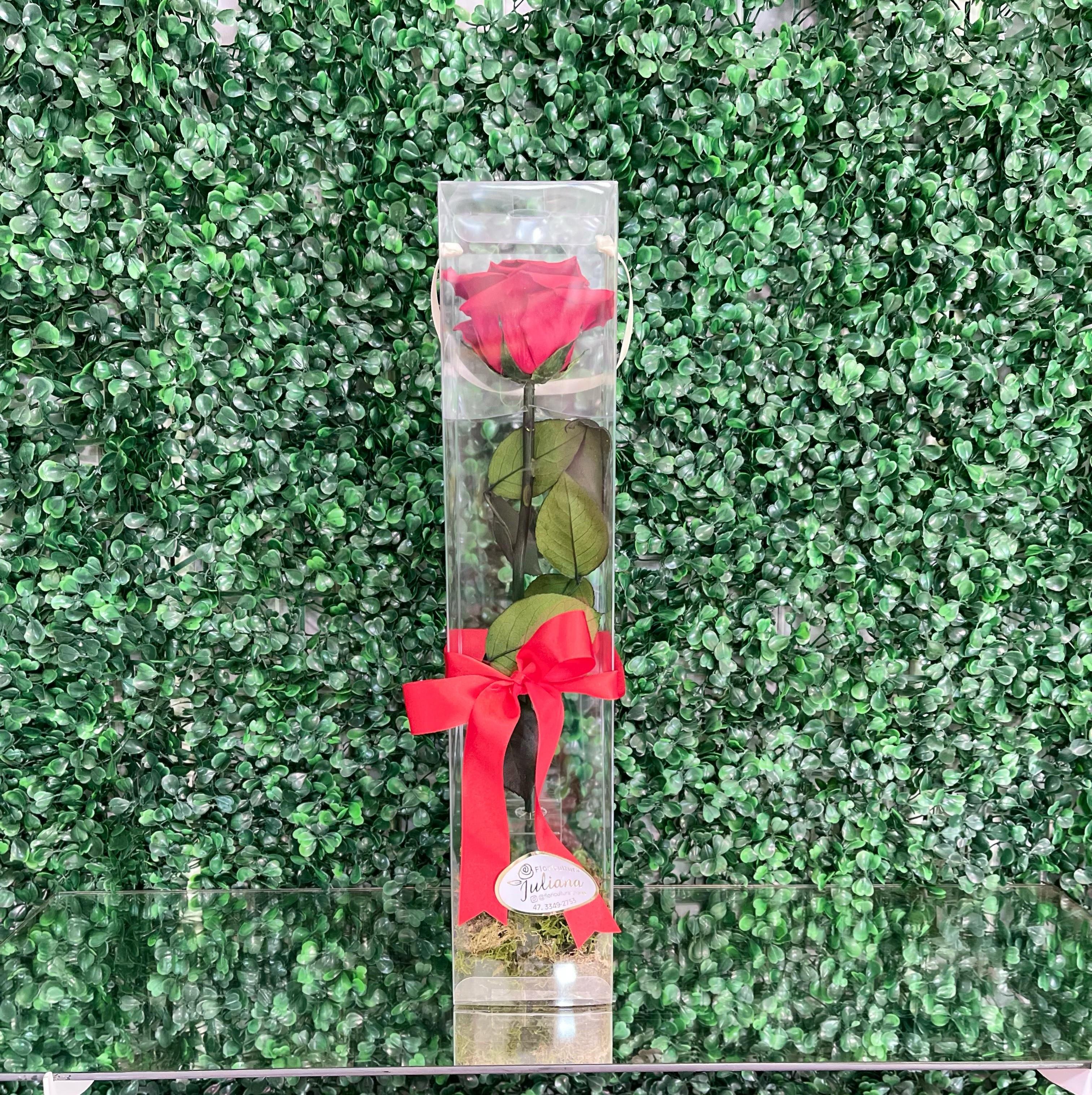 thumb-rosas-encantadas-1