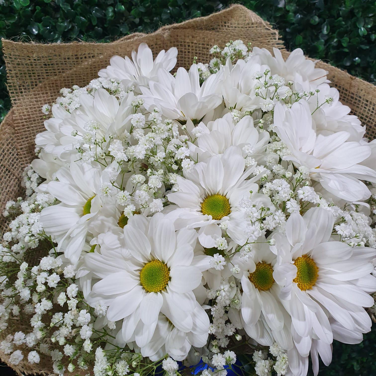 thumb-buque-de-margarida-juta-0