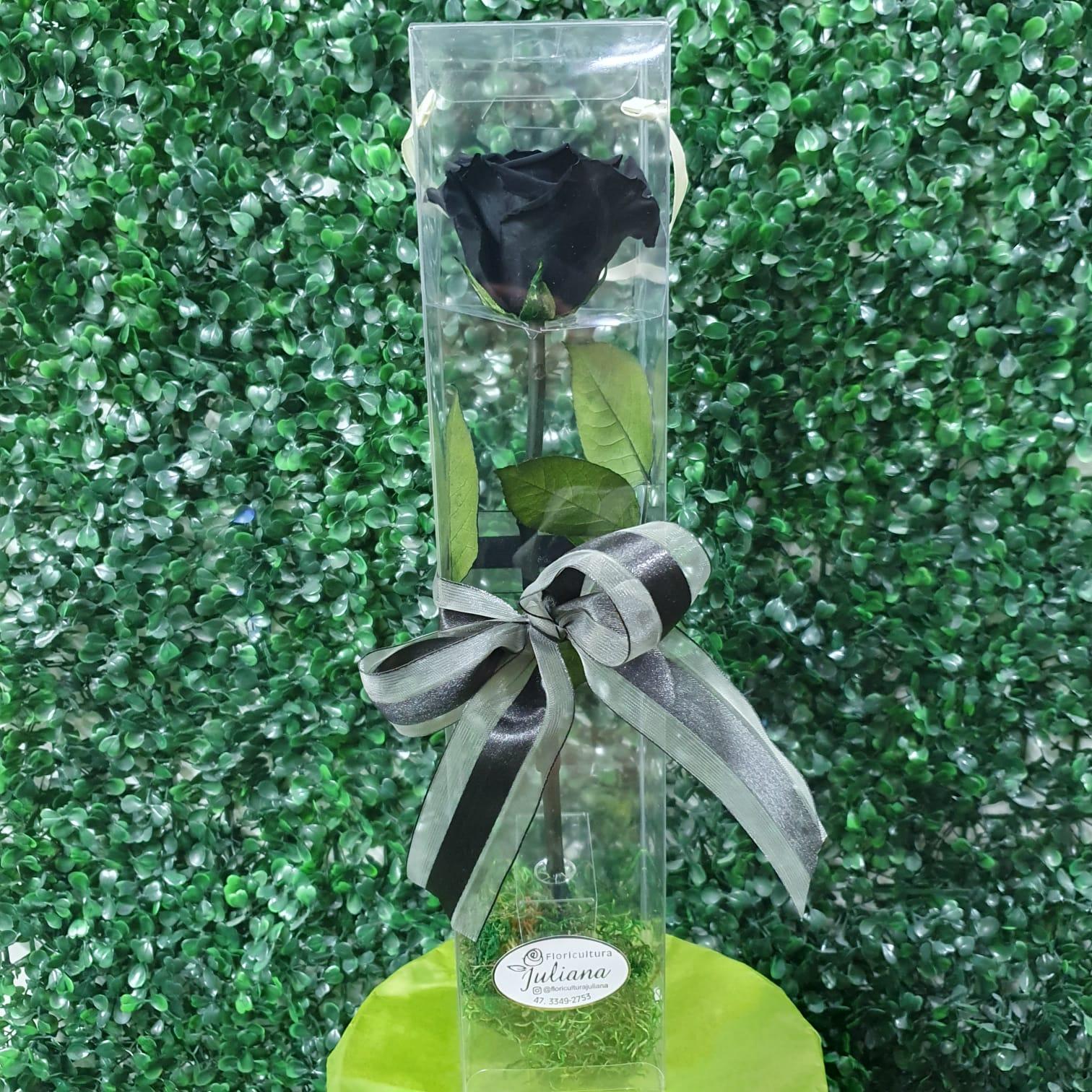 thumb-rosa-encantada-preta-1