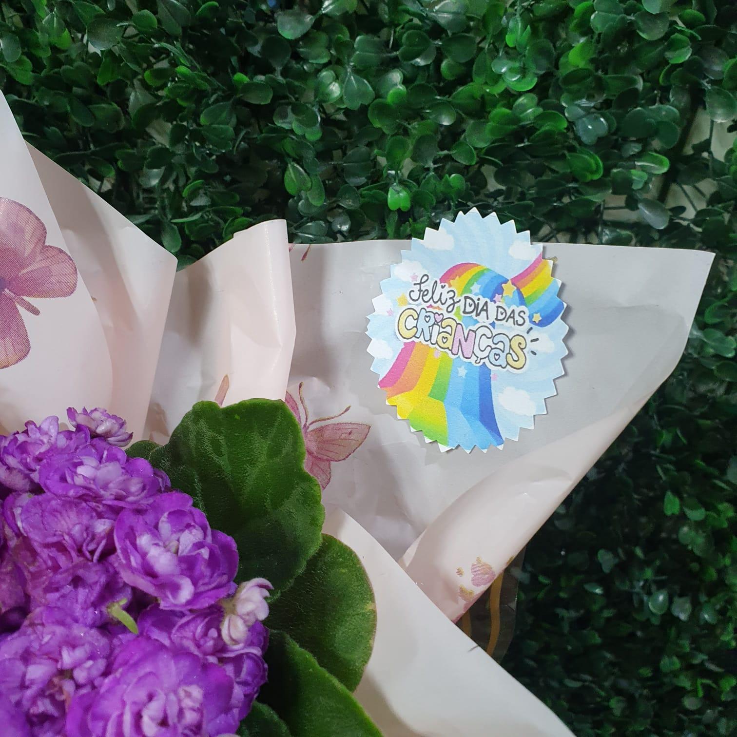 thumb-box-divertidamente-3