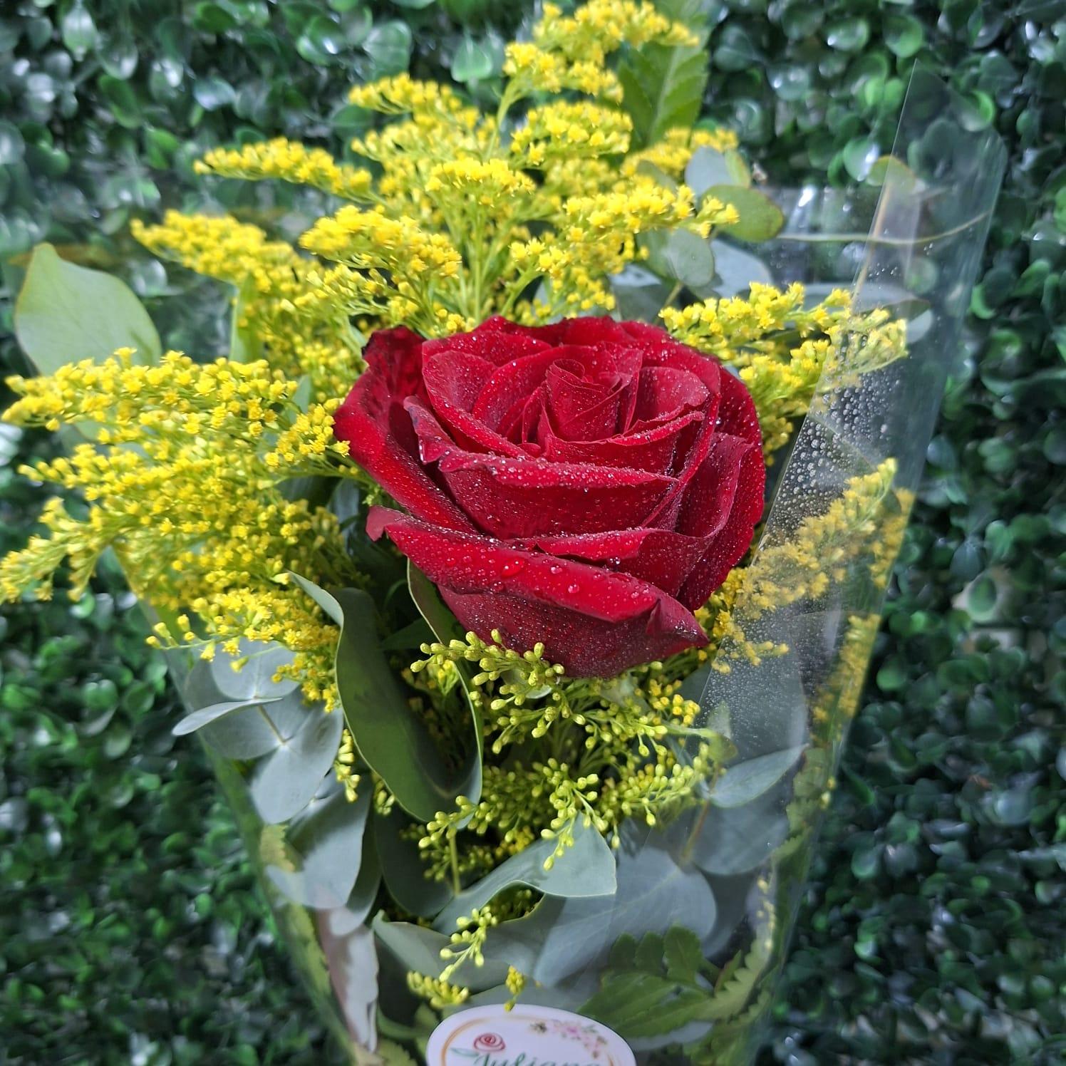 thumb-ramalhete-com-1-rosa-vermelha-transparente-0