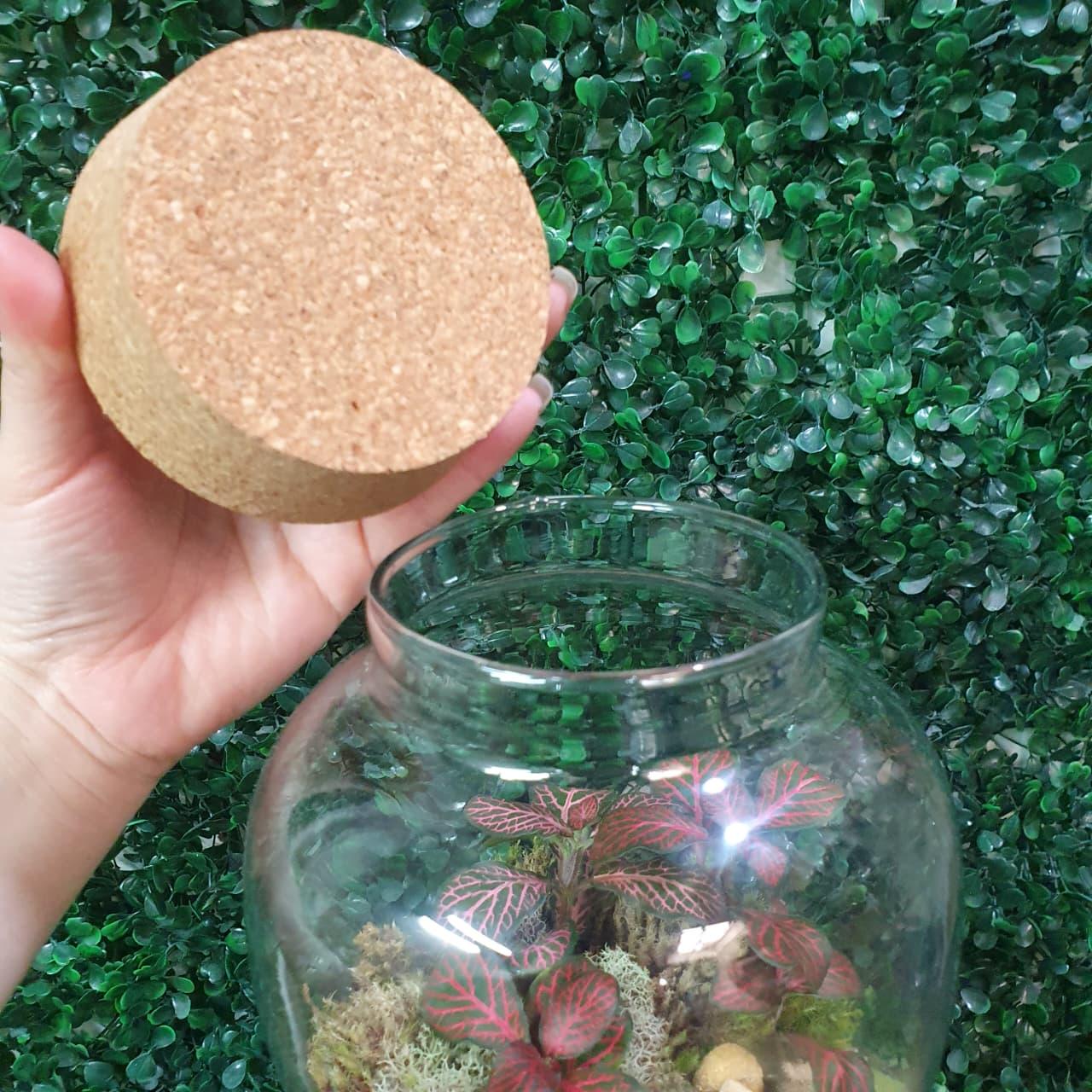 thumb-terrario-vaso-de-vidro-0