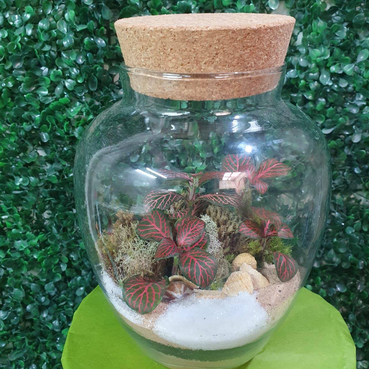 thumb-terrario-vaso-de-vidro-2