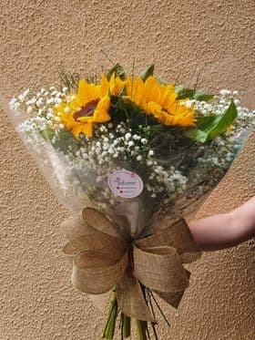 Buque de Girassol - Espiral - 06 Unidades - transparente