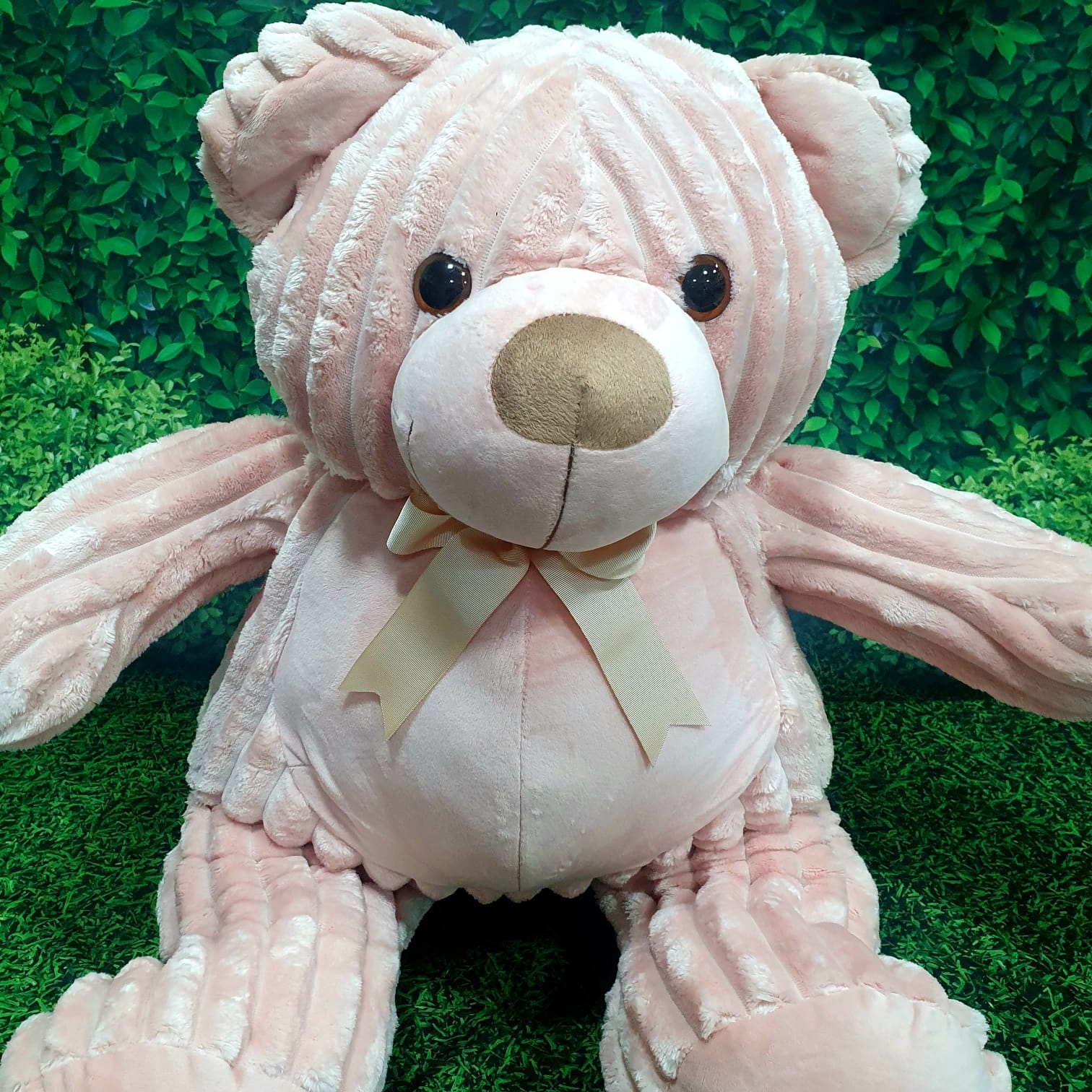 Urso Rosa Premium