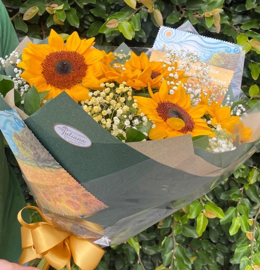 Buque-Campo de girassóis Van gogh