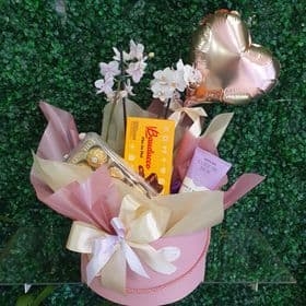 Box - Mini orquídea