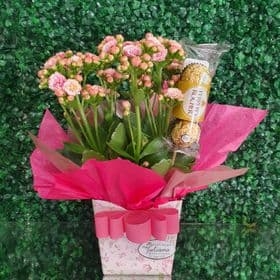 Mini Calandiva com Ferrero