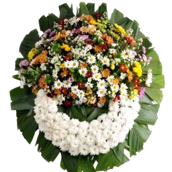 Coroa de Flores do Campo. FJ102